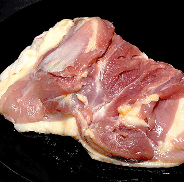 シャポーン鹿児島鶏